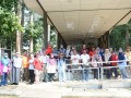 Tn PPTC 156